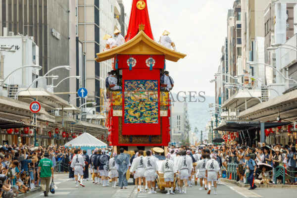 鷹山・後祭20250008